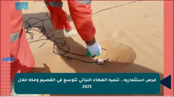 فرص استثمارية.. تنمية الغطاء النباتي تتوسع في القصيم ومكة خلال 2025